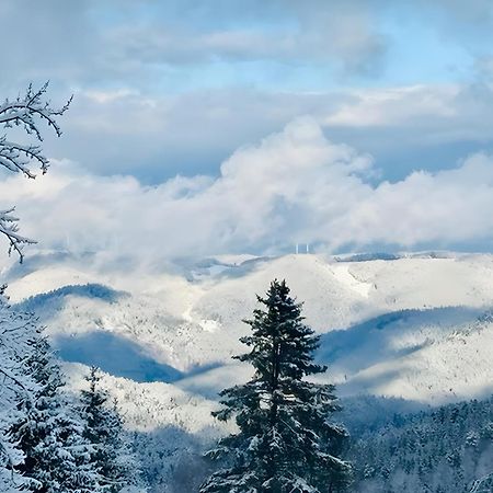 Apartamento Schwarzwald Nescht Triberg Triberg im Schwarzwald Exterior foto