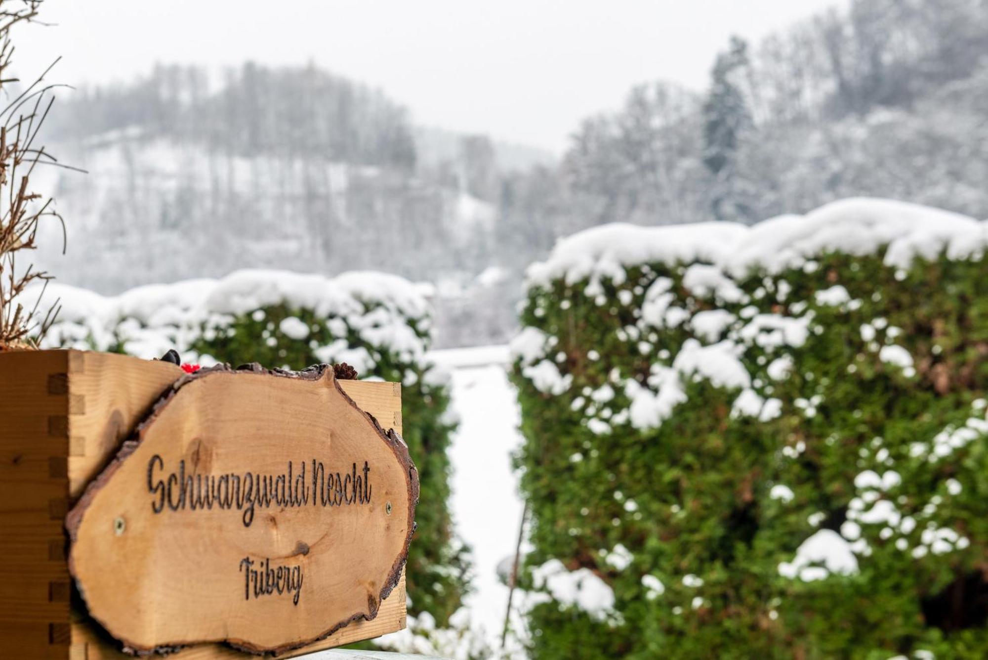 Apartamento Schwarzwald Nescht Triberg Triberg im Schwarzwald Exterior foto