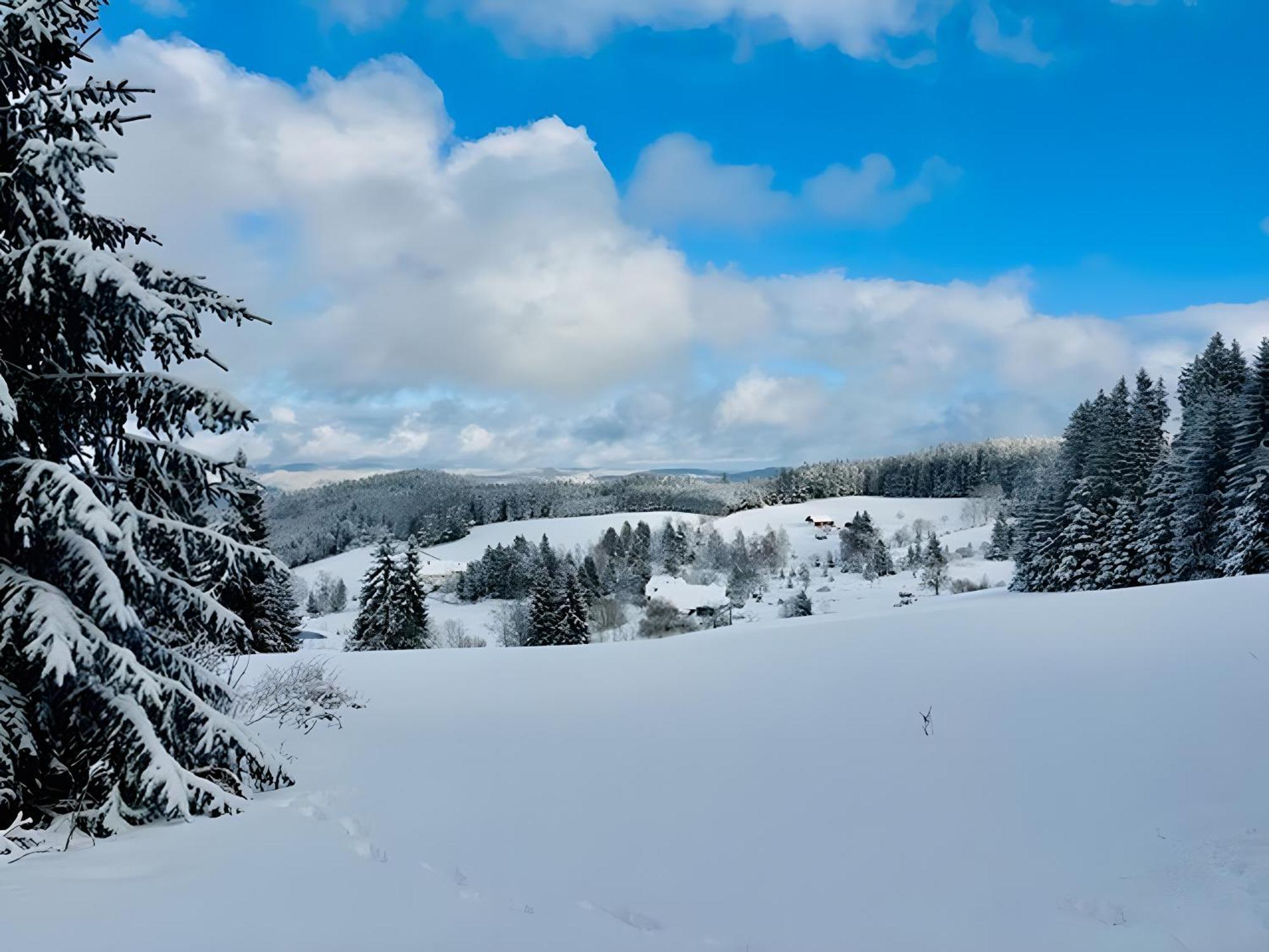 Apartamento Schwarzwald Nescht Triberg Triberg im Schwarzwald Exterior foto