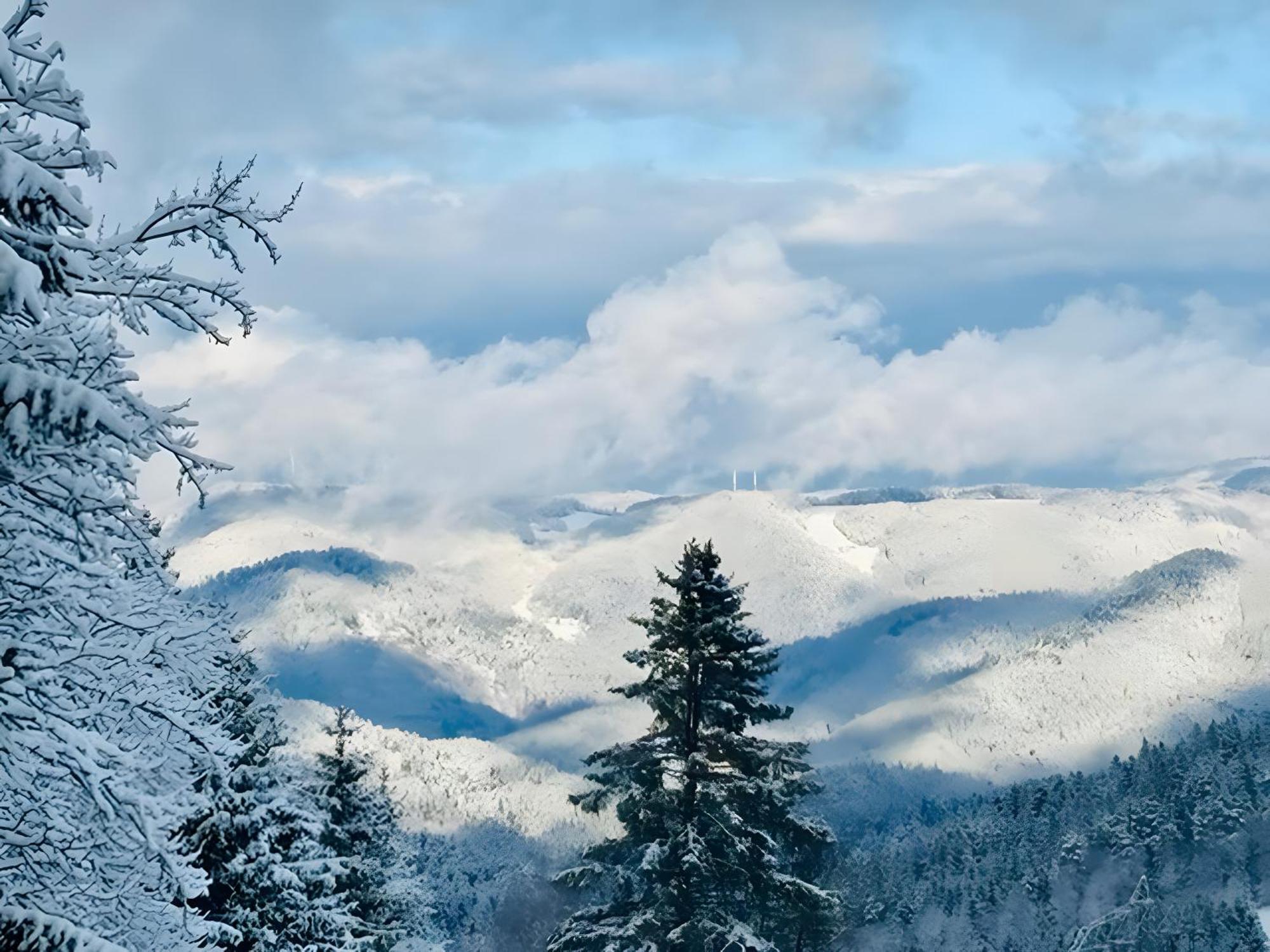 Apartamento Schwarzwald Nescht Triberg Triberg im Schwarzwald Exterior foto